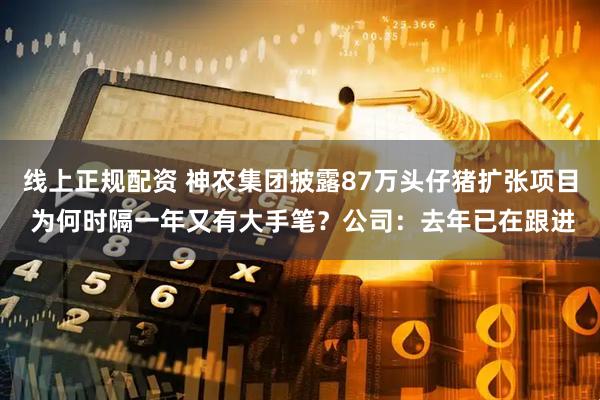 线上正规配资 神农集团披露87万头仔猪扩张项目 为何时隔一年又有大手笔？公司：去年已在跟进
