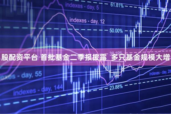 股配资平台 首批基金二季报披露  多只基金规模大增